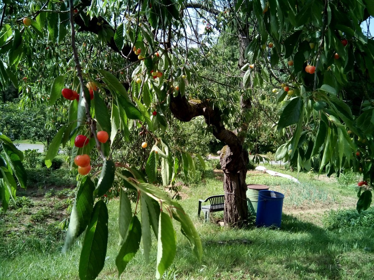 Třebíč-Borovina