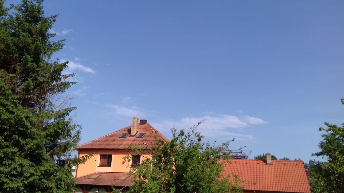 Olešná