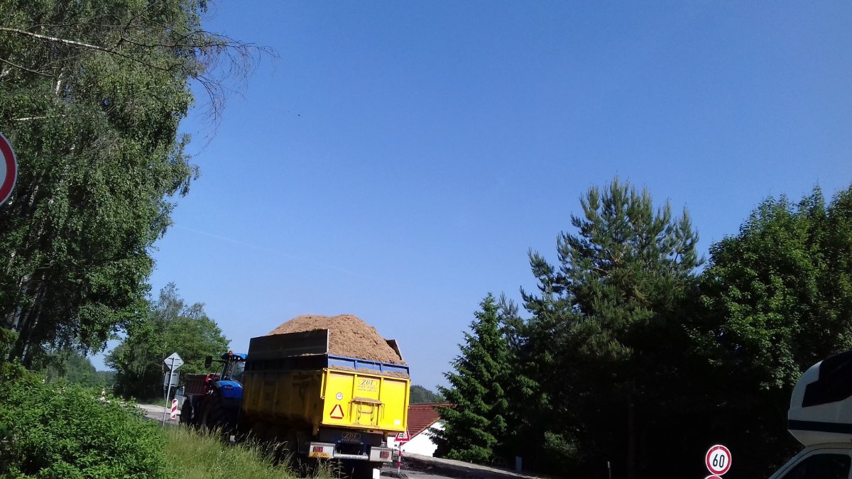 Olešná