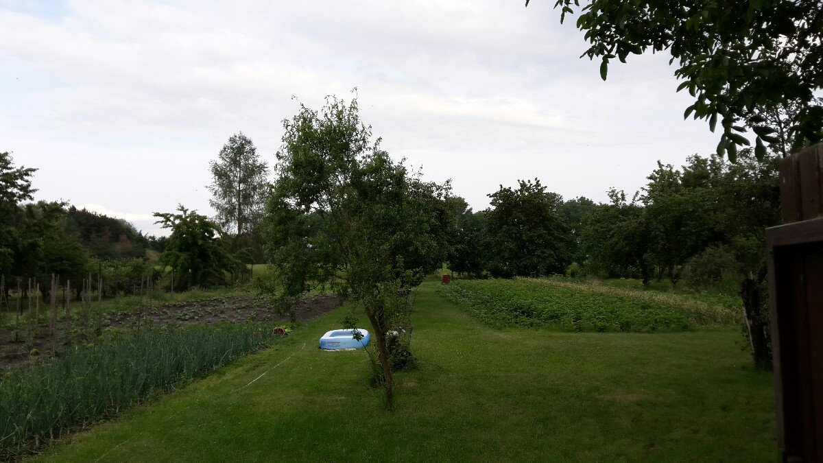 Otonovice