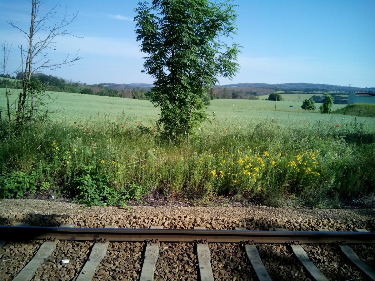 Třebíč-Borovina