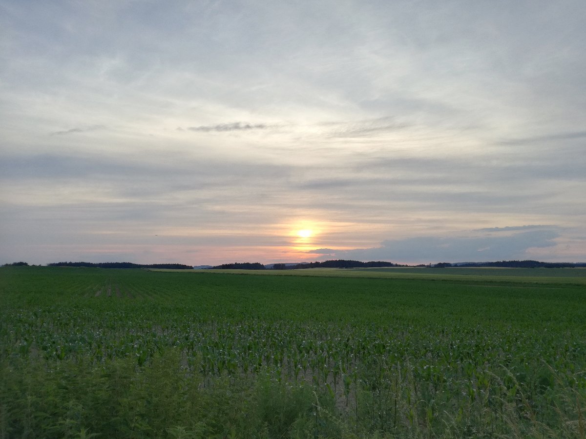 Hostákov