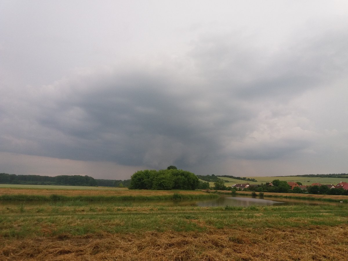 Kvasice