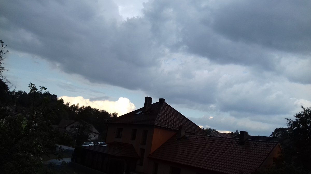 Olešná