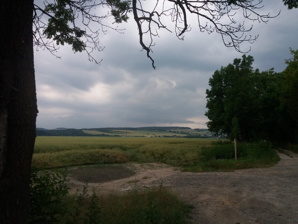 Kvasice