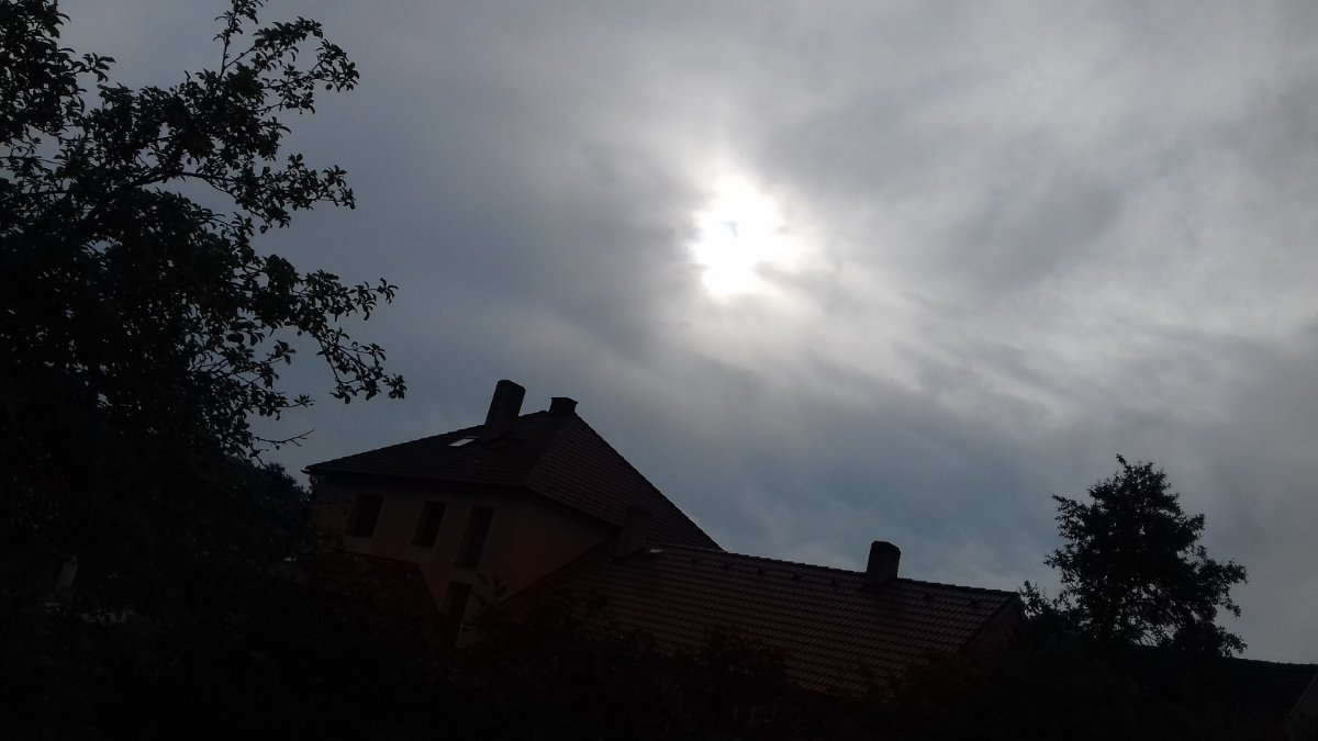 Olešná