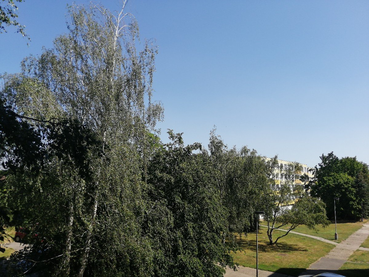 Kladmo