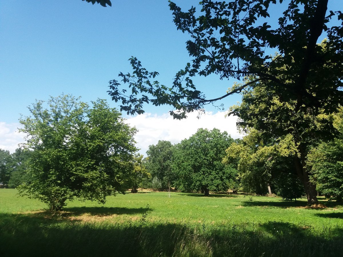 Kvasice