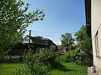 Třibřichy
