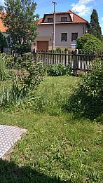 Třibřichy