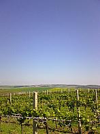 Moravský Žižkov