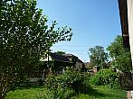 Třibřichy