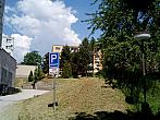 Borovina