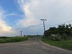 Třibřichy