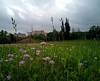 Třebíč-Borovina