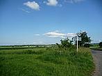 Třibřichy