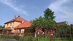 Olešná
