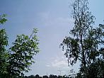 Borovina