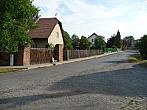 Třibřichy