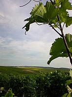 Moravský Žižkov