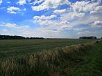 Císařov
