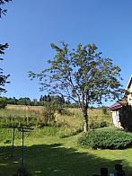 Skalité
