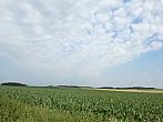 Hostákov