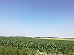 Hostákov