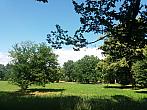 Kvasice