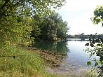 Kvasice