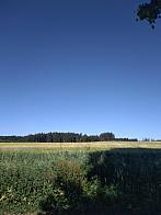 Pacov