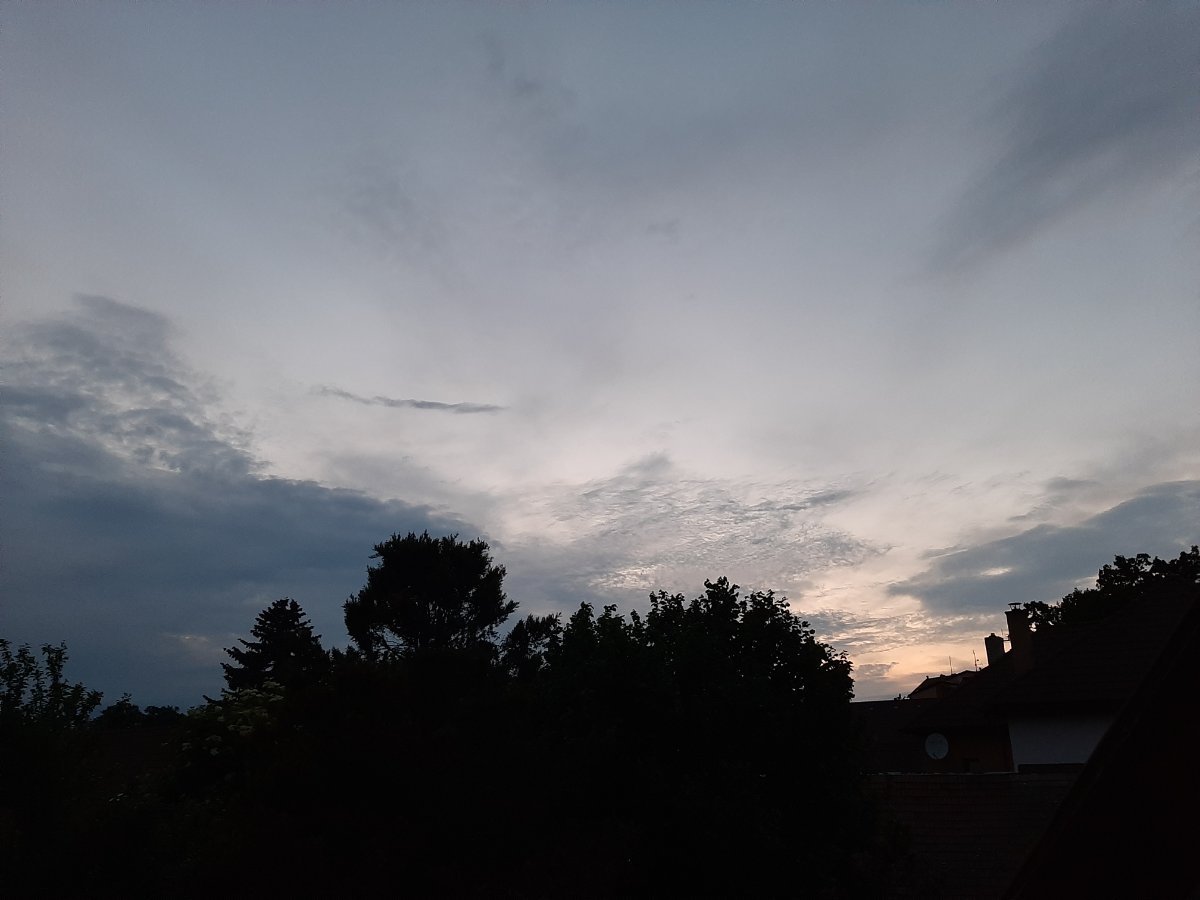 Olešná