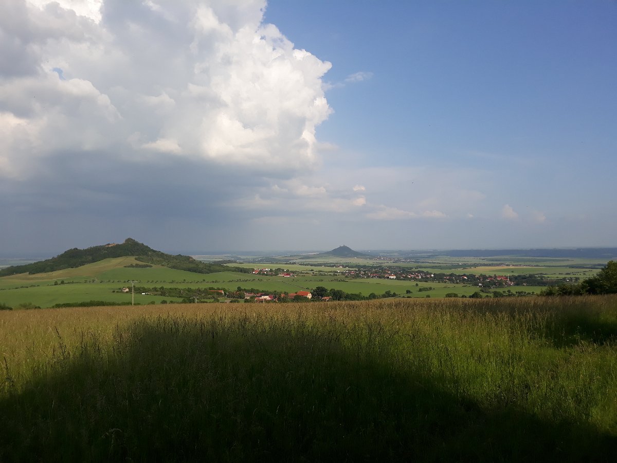 Podsedice
