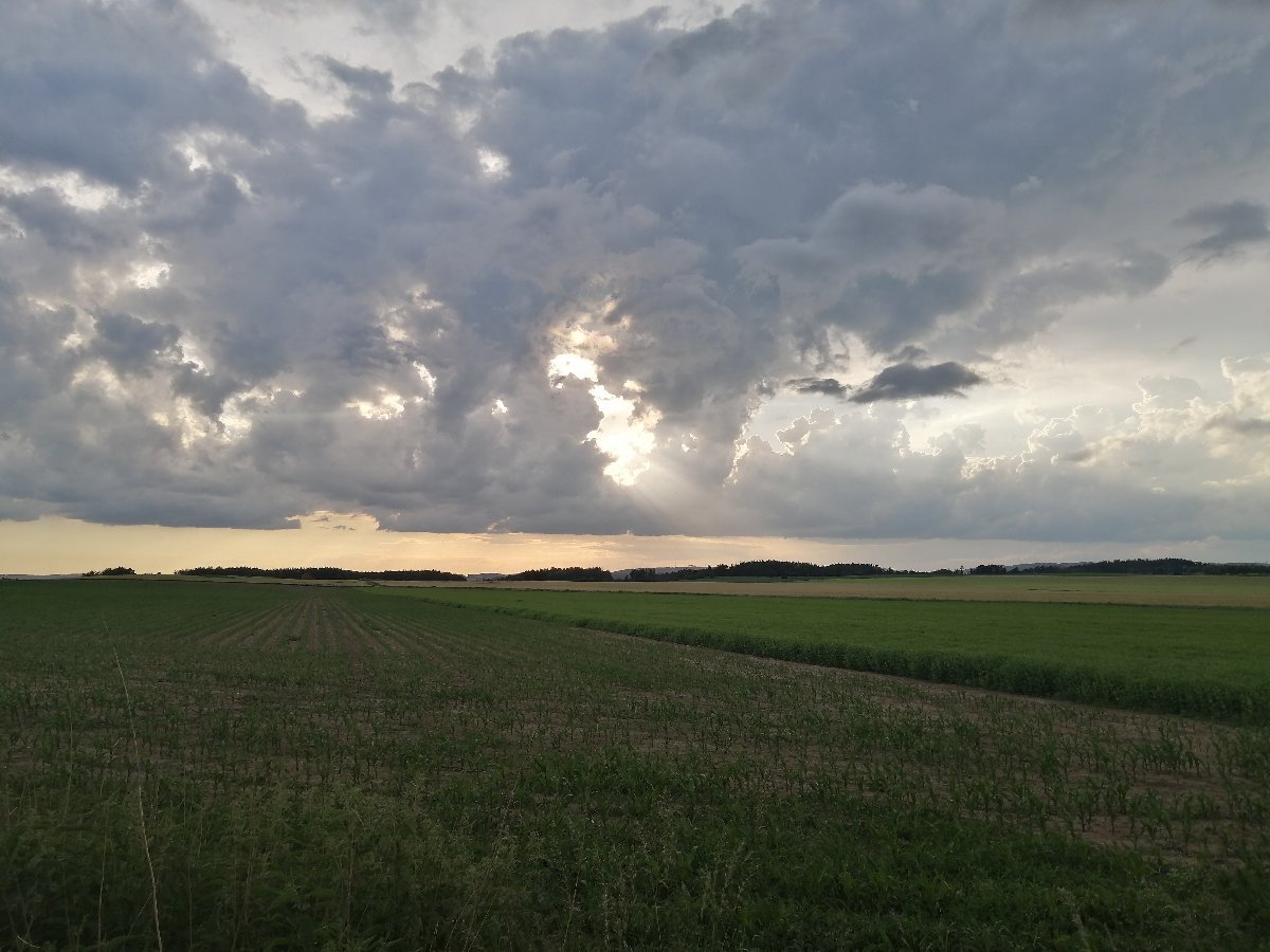 Hostákov