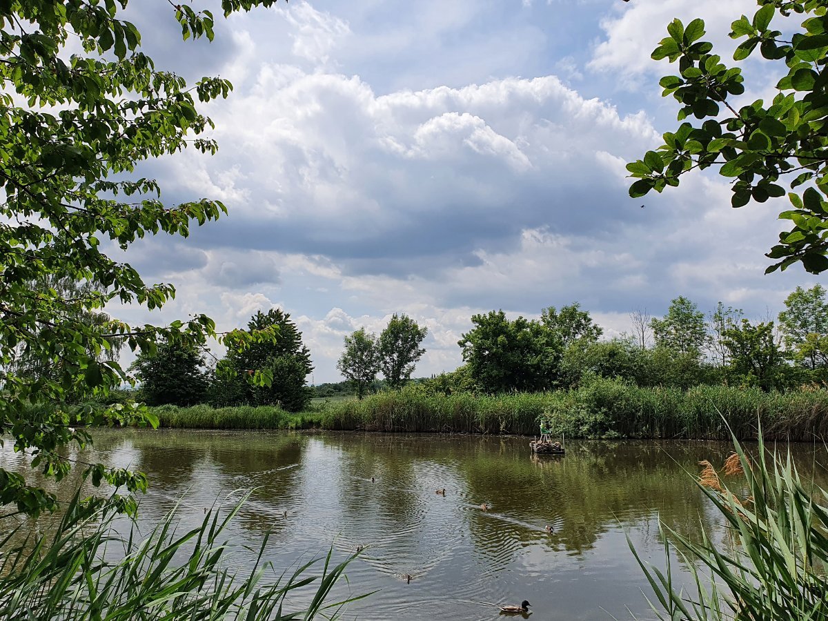Chomutov