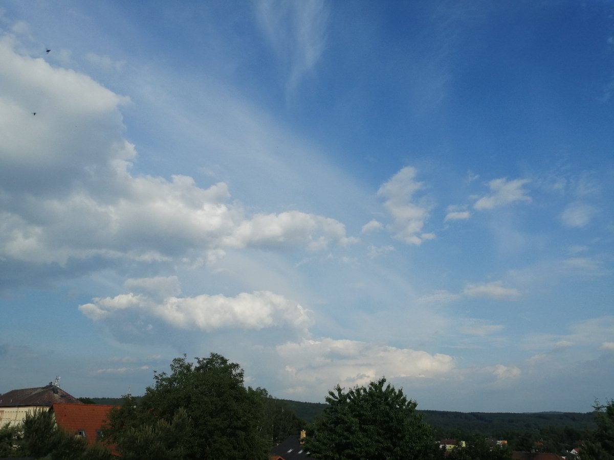 Dýšina