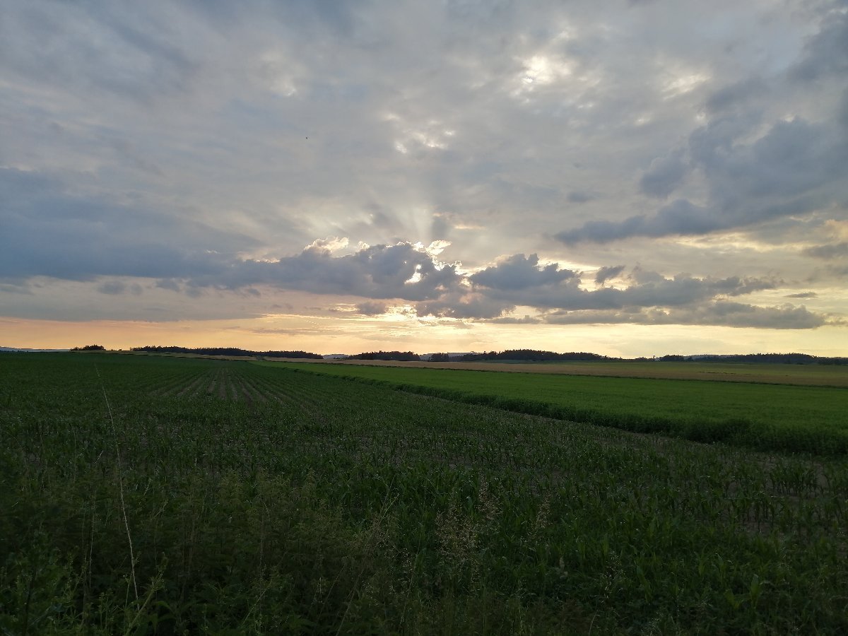 Hostákov