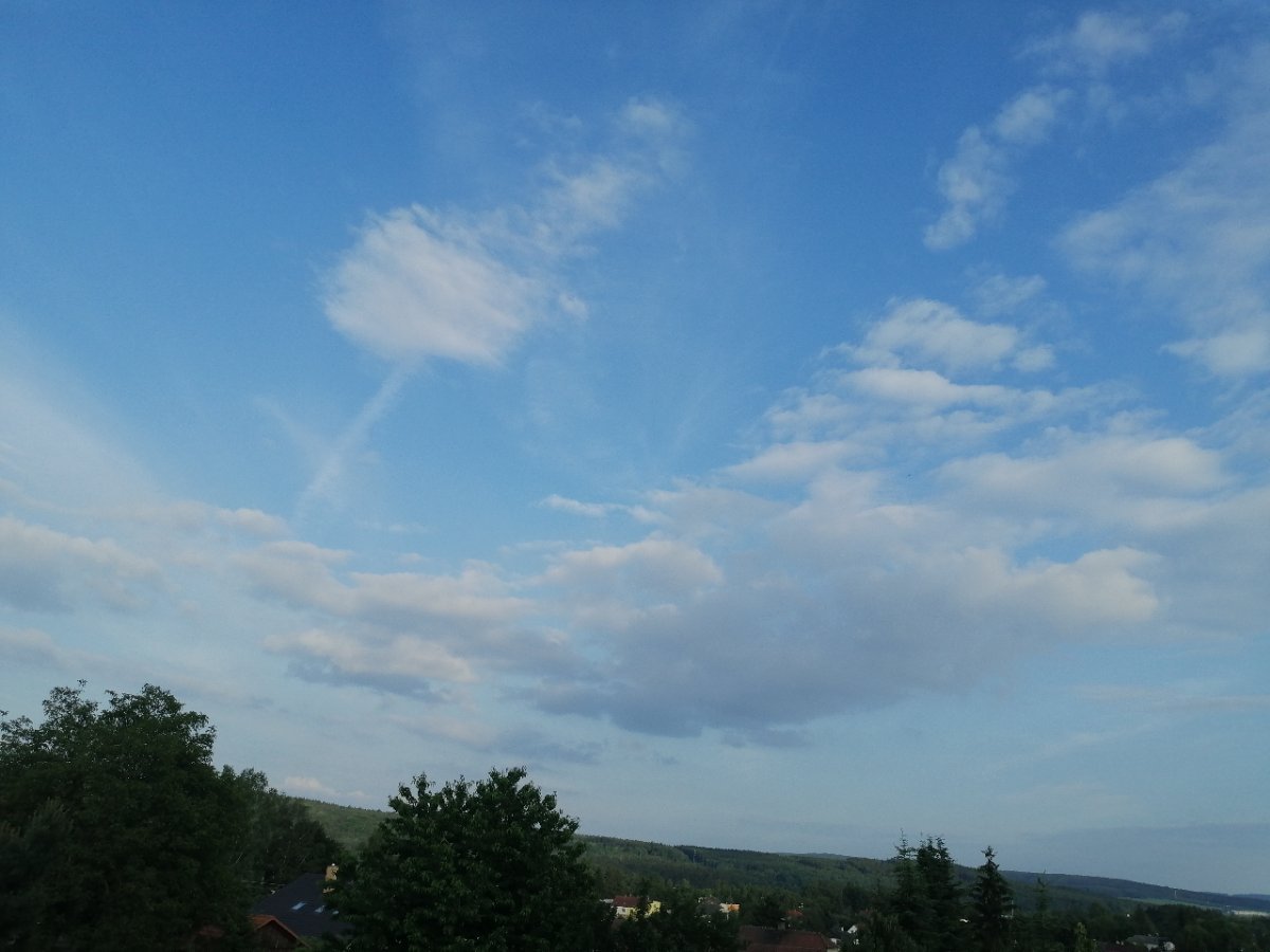 Dýšina