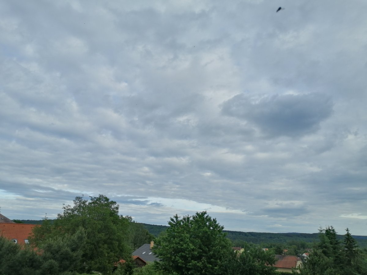 Dýšina