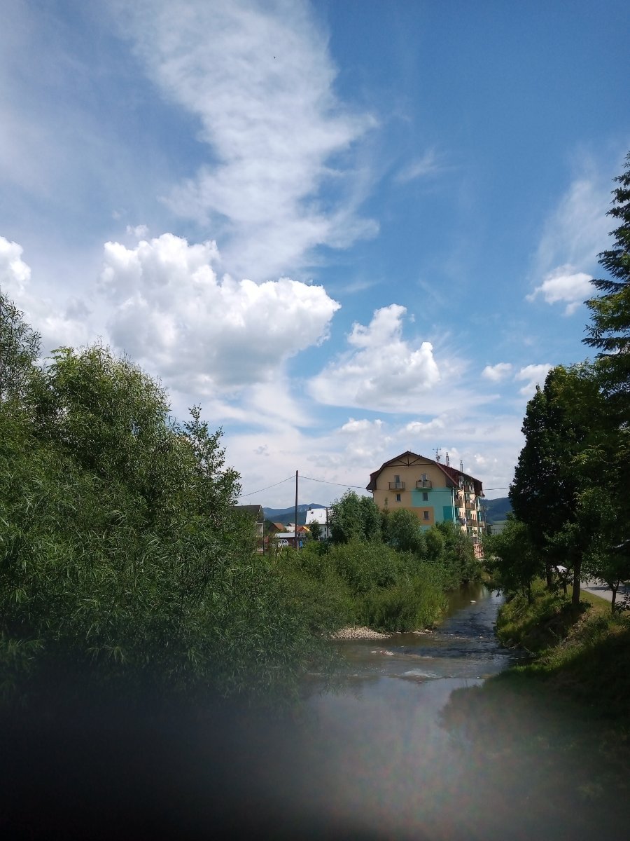 Hvozdnica