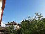 Olešná