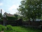 Třibřichy
