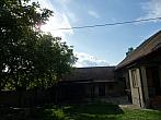 Třibřichy