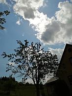 Skalité