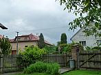 Třibřichy