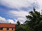 Olešná