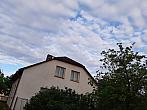 Olešná