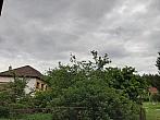 Olešná
