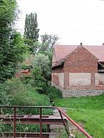 Třibřichy