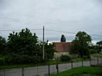 Třibřichy